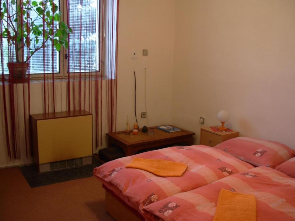 Penzion Hlinkova Plzen Bilik gambar