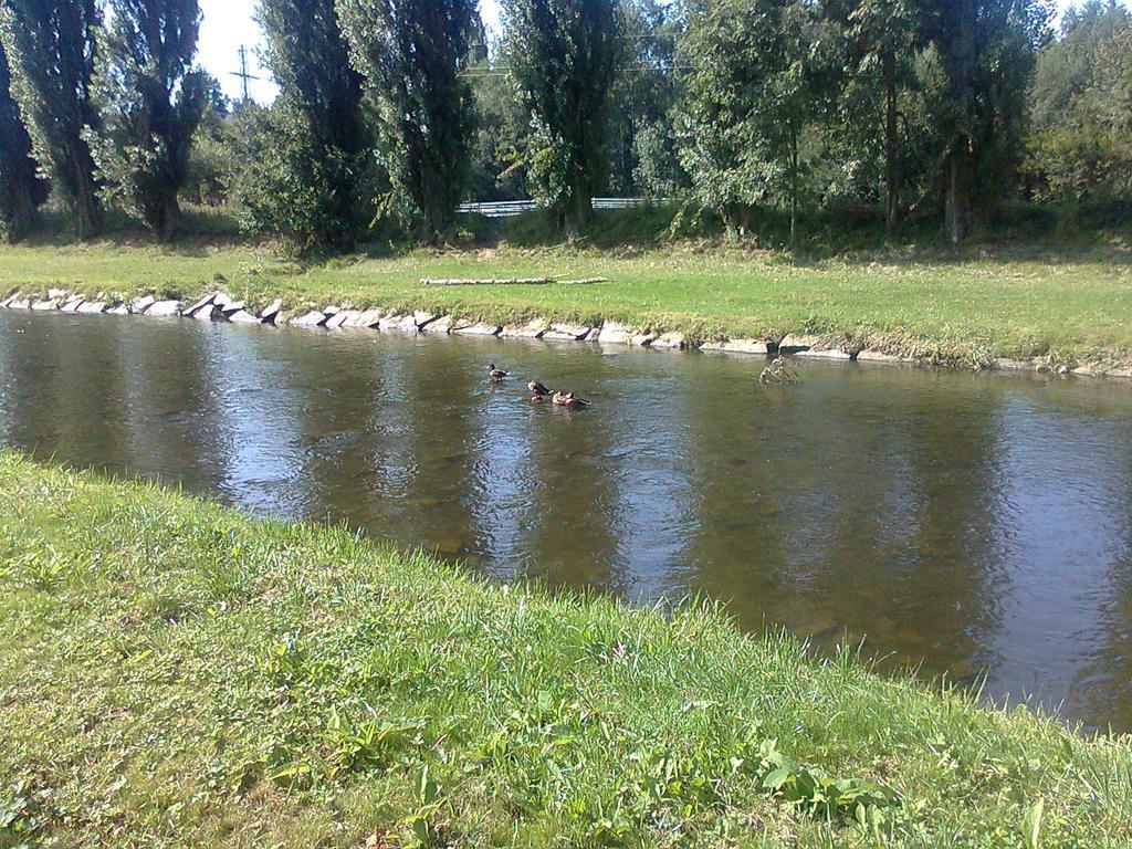 Penzion Hlinkova Plzen Luaran gambar